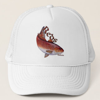 Boné Coleção de peixes de água salgada