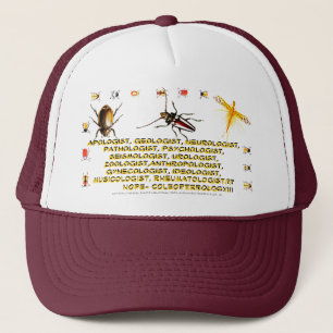 Boné "Coleopterology "