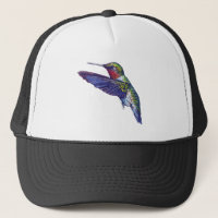 Colibri Throated do rubi