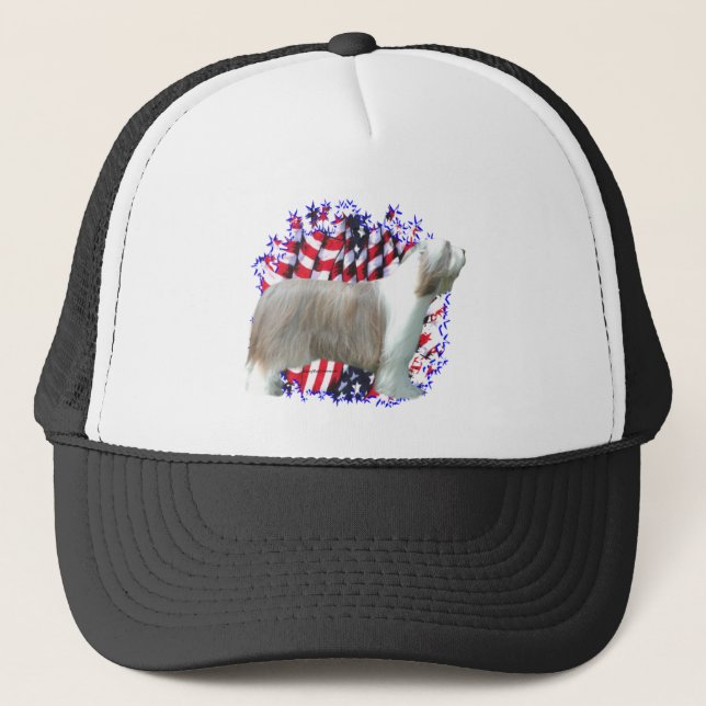 Boné Collie Patriot (Frente)