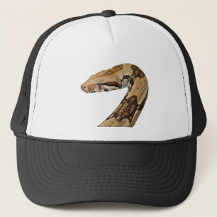 Boné Constrictor de boa