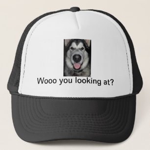 Boné Corteje-o que olha. Malamute do Alasca