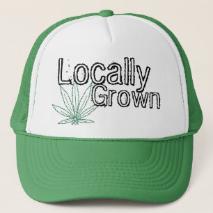 Boné cultivado localmente