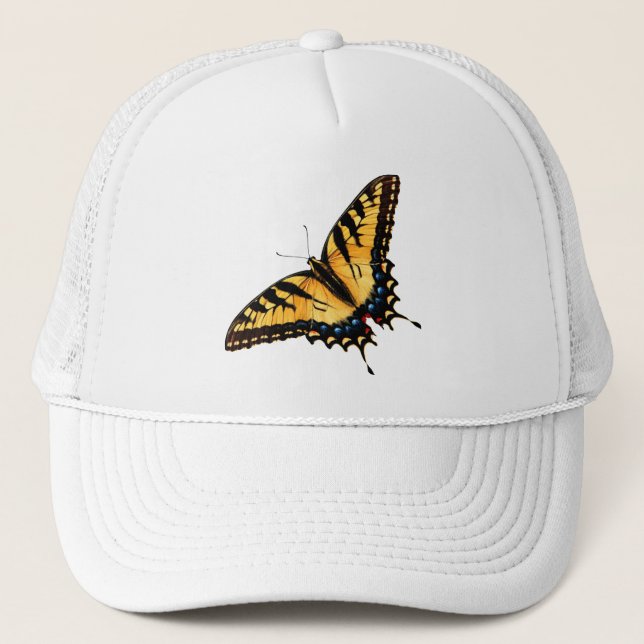 Boné da borboleta de Swallowtail (Frente)