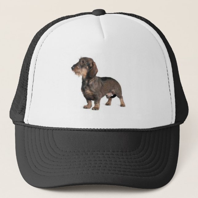 Boné Dachshund (Frente)