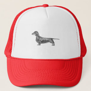 Boné Dachshund