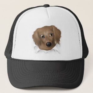 Boné Dachshund (cabelo longo) que rebenta para fora
