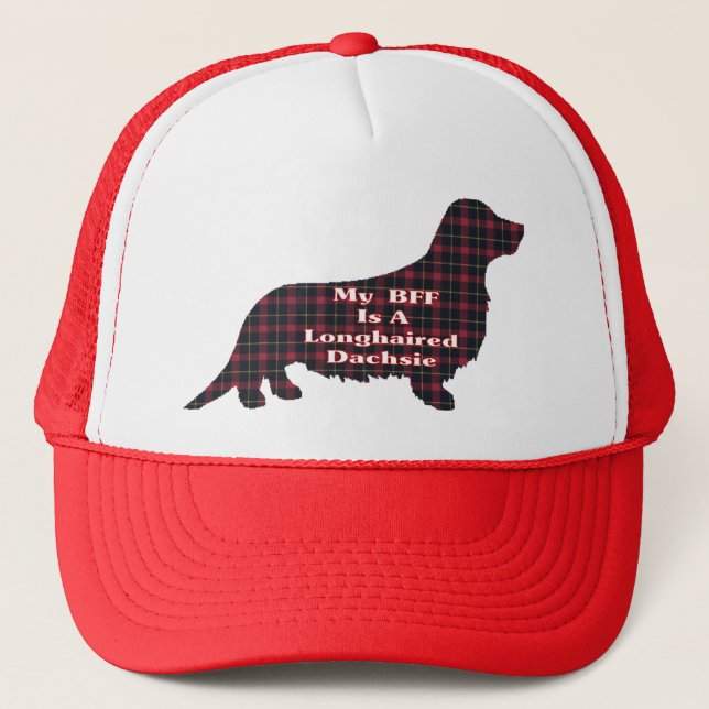 Boné Dachshund Lover Gifts (Frente)