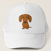 Dachshund Vermelho Cugado | Cachorro-branco engraç