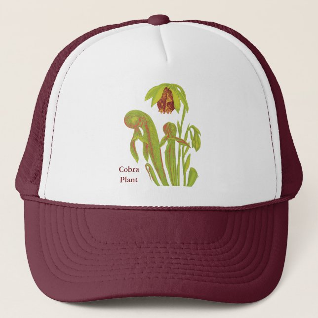 Boné Darlingtonia da planta carnívora (Frente)