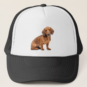 Boné Dashund Dog Pet Animal Custom Trucker Hat