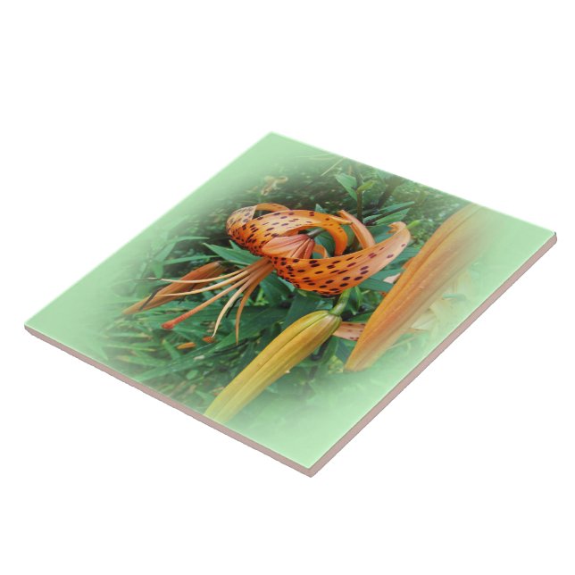 Boné de Turk Lily Wildflower - virado para a esque (Lateral)