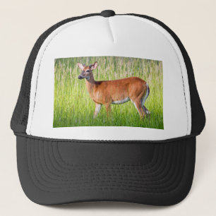 Boné Deer In Tall Grass