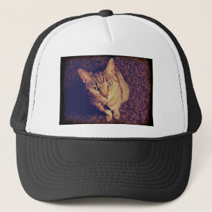 Boné Demanda do Indigo