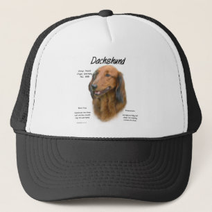 Boné Design de História de Dachshund (longhair)