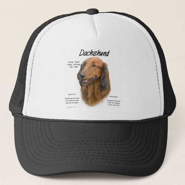 Boné Design de História de Dachshund (longhair) (Frente)