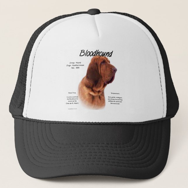 Boné Design de História do Bloodhound (Frente)