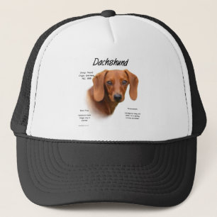 Boné Design (liso) da história do Dachshund