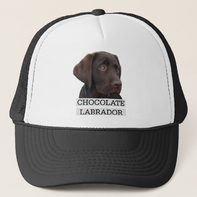 Boné Design original de Labrador do chocolate! (Frente)