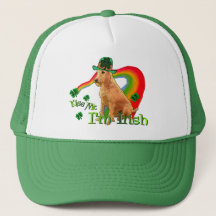 Dia de São Patrício Terrier irlandês