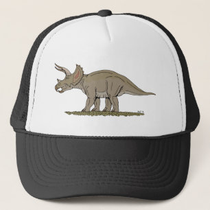 Boné Dinossauro Cretáceo Tricerátops