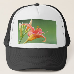 Boné Ditch Lily
