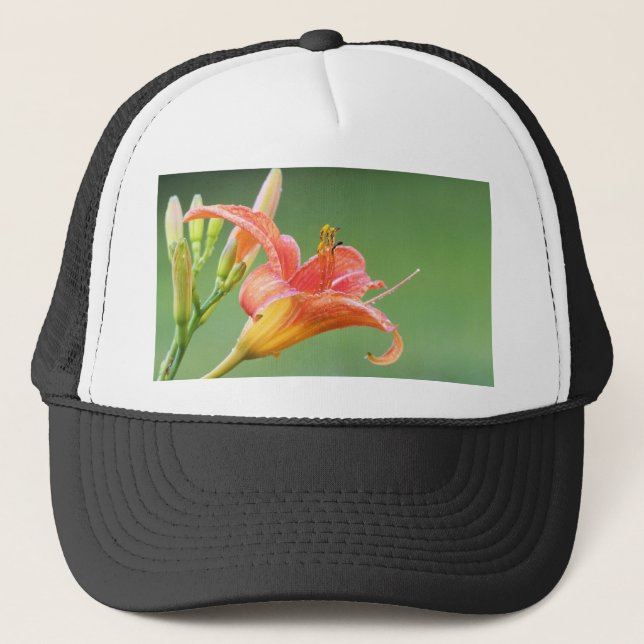 Boné Ditch Lily (Frente)