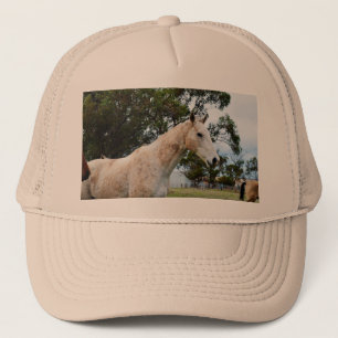 Boné Diversão Suja: Cavalo Branco Grande Mudo,