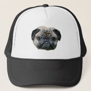 Boné do cão do Pug
