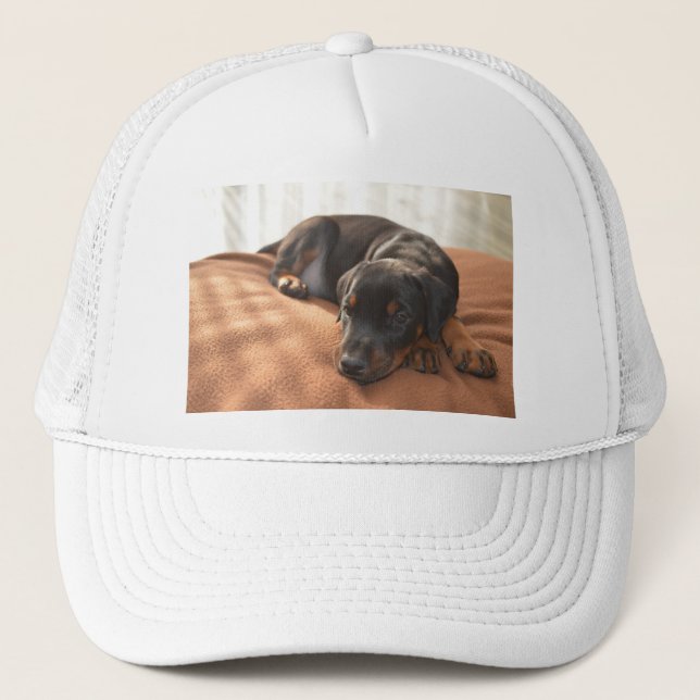 Boné doberman-pinscher-filhote (Frente)