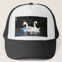Dois Cisnes E Um Pato