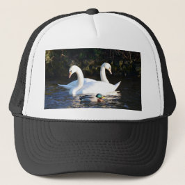 Boné Dois Cisnes E Um Pato
