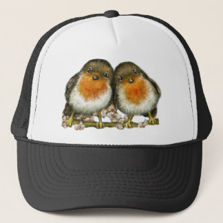 Boné dois robins