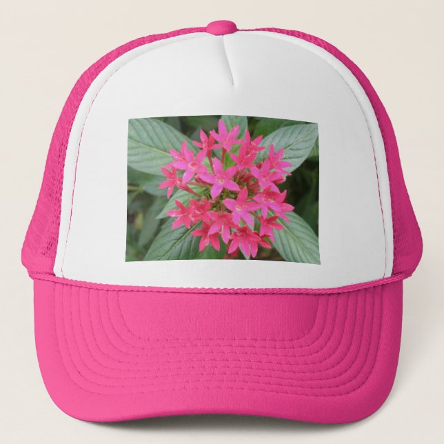 Boné Dor Tropical Rosa Brilhante Hábitos (Frente)