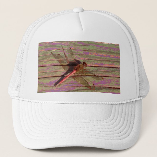 Boné Dragonfly Colorful (Frente)