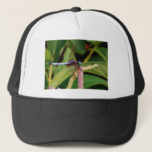 Boné Dragonfly com flores brancas