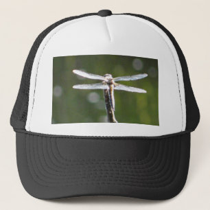 Boné Dragonfly de cinza clara