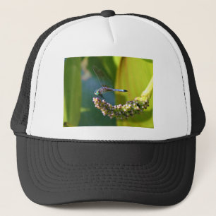 Boné Dragonfly de olhos lacrimejados
