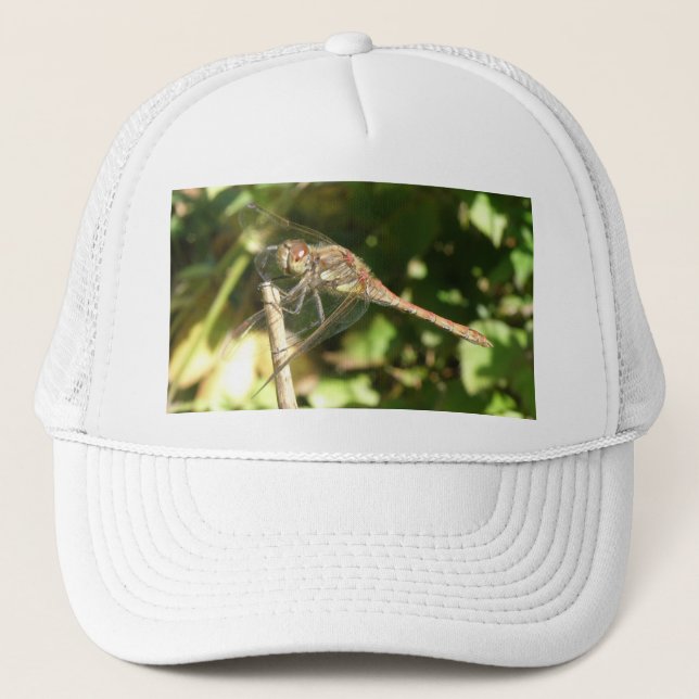 Boné Dragonfly em um chapéu de galho (Frente)