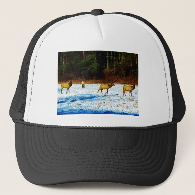 BONÉ DSC00131.JPG (Frente)