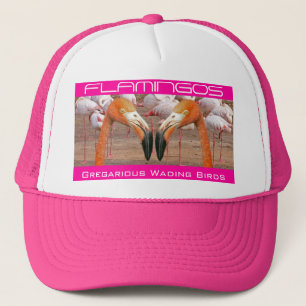 Boné Duas cabeças do flamingo - (chapéu)