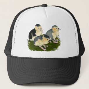 Boné Ducklings Azul