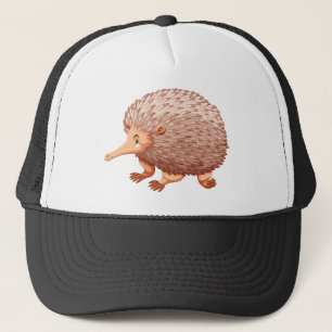 Boné echidna