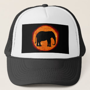 Boné Eclipse Solar de Elefante