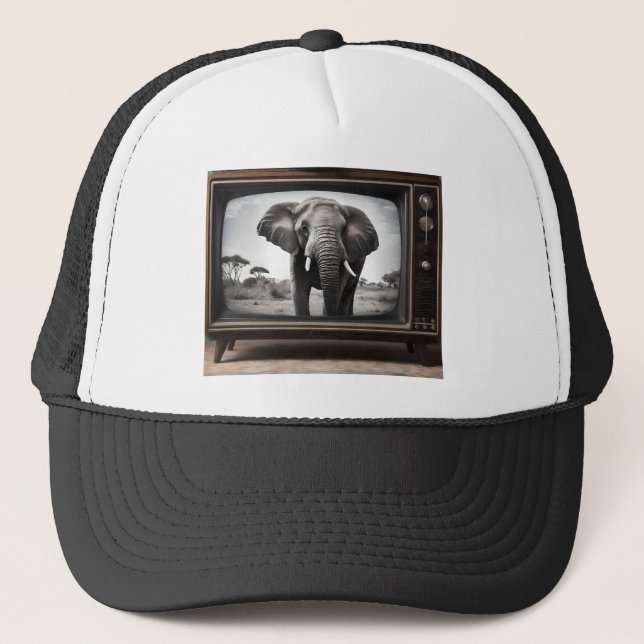 Boné Elefante Africano Na Televisão Analógica, (Frente)