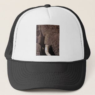 Boné Elefante Bull