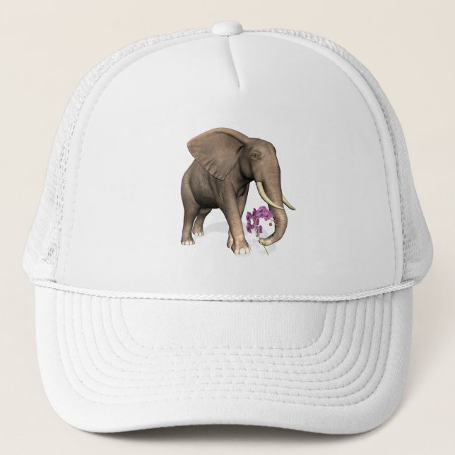Boné Elefante Com Orquídea Rosa (Frente)