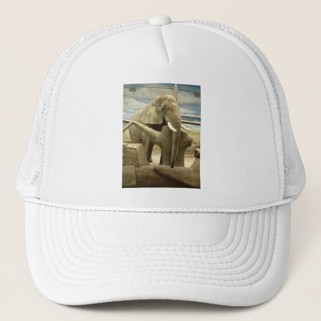 Boné Elefante Love (Frente)