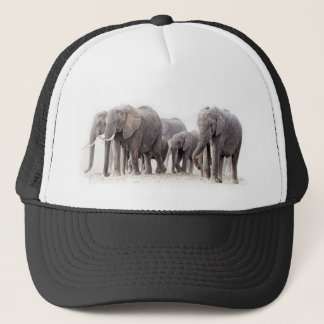 Boné Elephant Herd