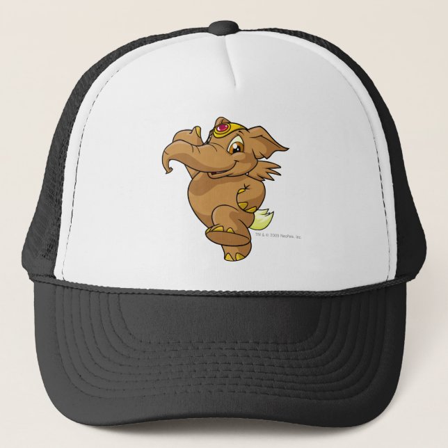 Boné Elephante Brown (Frente)